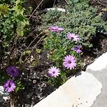 Zephyros And Отель *